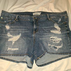 Torrid distressed mid shorts